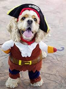 Disfraz de Mascota Perro Gato de Halloween, Disfraz de Capitán Pirata para Raza Pequeña de Perros como Teddy, Caniche
