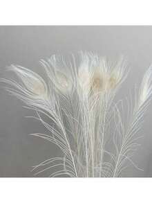 5 件逼真的人造孔雀羽毛，适用于 DIY 工艺品、优雅的家居装饰、派对和婚礼装饰、节日场合，手工细节，塑料材质，非常适合卧室、客厅或浴室装饰，孔雀装饰 - 白色 - 查看 13