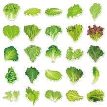 50PCS Cartoon Green Vegetable Lettuce Graffiti Stickers,Suitable For DIY Festival Decorations, Diaries, Suitcases, And Hand Books Craft Decorative Stickers, School Supplies,Back To School