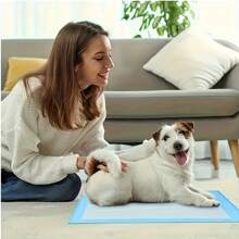 50pcs Absorbent Dog Training Pads, Heavy Duty Fabric Puppy Urine Pads, 17.72x23.62inch/23.62x23.62inch/23.62x35.43inch, Leakproof, Washable, Suitable For Large Dogs, Blue