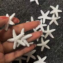 20 pièces de décorations en résine étoile de mer, 3 cm - parfaites pour les mariages, les fêtes et les artisanats maison, la décoration d'intérieur et les accessoires