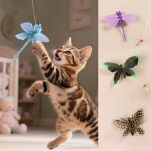 1 件猫玩具 - 昆虫设计，夹式设计，无需额外工具即可轻松安装，外观逼真，适合猫咪 - 彩色 - 查看 1