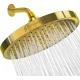 ‎Oro egipcio - 8" Round