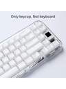 Keyboards & Mouses