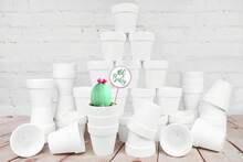40 Pcs White Terracotta Pot - 2.5 Inch Mini Clay Pots With Drainage Holes Flower Nursery Terra Cotta Pots For Succulent Plants, Crafts, Wedding Baby Shower Favor - Multicolor - View 1