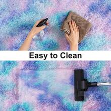Soft Fluffy Shag Throw Area Rug, 2x4 Black, Non-Slip Bedroom, Hallways, Bedside, Dorm, Living Room - Long Shaggy Rug - Purple Rainbow - View 5