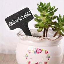 50 Piezas de Etiquetas Negras de Plástico con Diseño "XSedeviria Letizia" - Etiquetas de Jardín Duraderas para Identificación de Plantas, Cuidado de Plantas | Etiqueta Decorativa de Planta | Etiqueta de Plástico Resistente