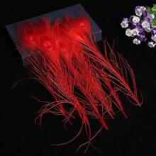 5 件逼真的人造孔雀羽毛，适用于 DIY 工艺品、优雅的家居装饰、派对和婚礼装饰、节日场合，手工细节，塑料材质，非常适合卧室、客厅或浴室装饰，孔雀装饰 - 白色 - 查看 10