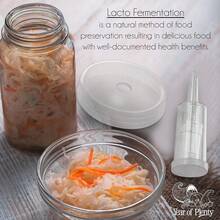 New  Ferment Kit - 2 Fermenting Mason Jars, 2 Fermentation Weights & 2 Fermenting Lids - Bildfarbe - View 2