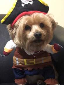Disfraz de Mascota Perro Gato de Halloween, Disfraz de Capitán Pirata para Raza Pequeña de Perros como Teddy, Caniche