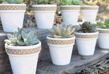 40 Pcs White Terracotta Pot - 2.5 Inch Mini Clay Pots With Drainage Holes Flower Nursery Terra Cotta Pots For Succulent Plants, Crafts, Wedding Baby Shower Favor - Multicolor - View 7