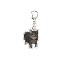1pc/4pcs Pet Keychain Cat Photo Acrylic Pendant Accessory Backpack For School Letter - Multicolor - View 14