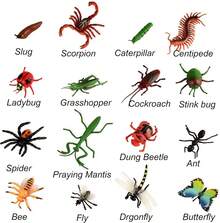 12 piezas de insectos realistas, modelos para niños - juguetes de ciencia biológica para niños, regalo - abejas, murciélagos. Moscas de ciempiés. Cucarachas. Escarabajos de la Mierga de Araña. Mariquita. etc.¡Top de Temporada - 1 - Ver 2