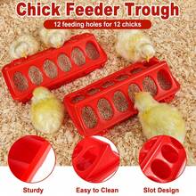 5 件套小鸡喂食器和饮水器套装，塑料小鸡喂食器和饮水器套装，带小鸡栖木 - 彩色 - 查看 4