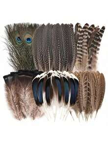 24 قطعة/30 قطعة/40 قطعة/48 قطعة/50 قطعة خليط من الريش المناسب لأعمال الحرف اليدوية والزفاف وديكورات الحفلات - أنماط فريدة، 4-12 بوصة، ألوان زاهية ناعمة، رائع لديكور المنزل ومشاريع الفن والمناسبات الخاصة