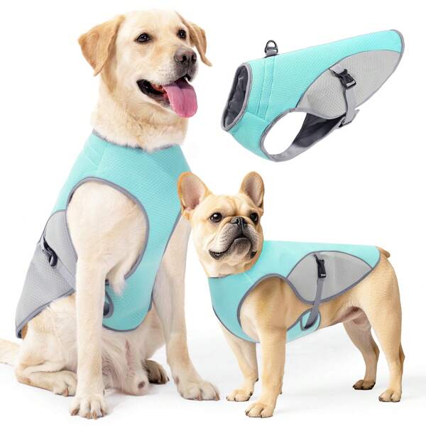 Colete refrescante para cães para o verão, camisa refrescante leve para cães pequenos, ideal para Golden Retrievers, Labradores, Huskies, Pastores Alemães, malha respirável com proteção UV
