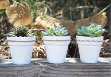 40 Pcs White Terracotta Pot - 2.5 Inch Mini Clay Pots With Drainage Holes Flower Nursery Terra Cotta Pots For Succulent Plants, Crafts, Wedding Baby Shower Favor - Multicolor - View 6