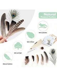 24 قطعة/30 قطعة/40 قطعة/48 قطعة/50 قطعة خليط من الريش المناسب لأعمال الحرف اليدوية والزفاف وديكورات الحفلات - أنماط فريدة، 4-12 بوصة، ألوان زاهية ناعمة، رائع لديكور المنزل ومشاريع الفن والمناسبات الخاصة