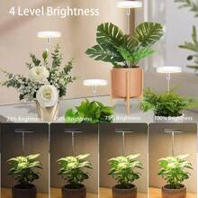 1 Stück LED Vollspektrum Pflanzenwachstumslicht mit 3-Gang-Timer, verstellbarer Teleskopstange für Zimmergärtnerei, USB-betrieben, polierte Oberfläche, perfekt für Keimlinge und kleine Pflanzen, Pflanzenbeleuchtung für Zimmerpflanzen