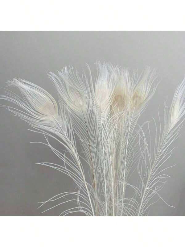 5 قطع من ريش طاووس اصطناعي حي، مناسب للأعمال اليدوية DIY، ديكور منزلي أنيق، تزيين الحفلات والزفاف، مناسبات الأعياد، تفاصيل الأعمال اليدوية، مصنوع من مواد بلاستيكية، مثالي لديكور غرفة النوم أو المعيشة أو الحمام، ديكور طاووس