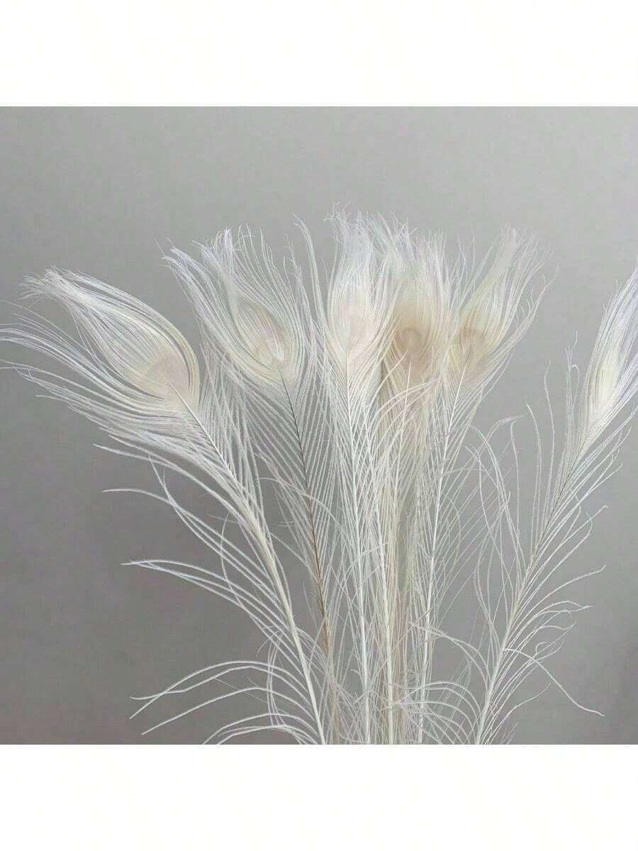 5 件逼真的人造孔雀羽毛，适用于 DIY 工艺品、优雅的家居装饰、派对和婚礼装饰、节日场合，手工细节，塑料材质，非常适合卧室、客厅或浴室装饰，孔雀装饰 - 白色 - 查看 1