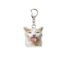 1pc/4pcs Pet Keychain Cat Photo Acrylic Pendant Accessory Backpack For School Letter - Multicolor - View 12