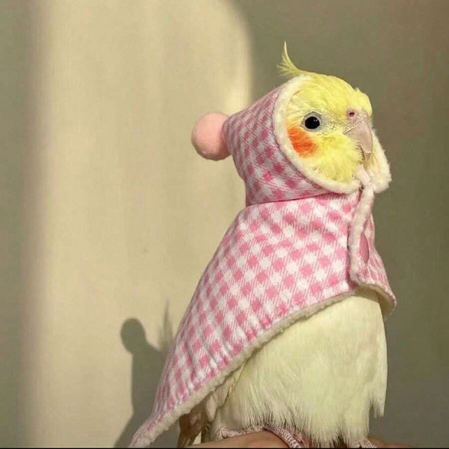 1 件鹦鹉斗篷鸟服，防风保暖舒适鹦鹉服装，可爱