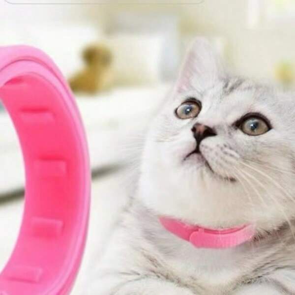 Pet Cat Dog Flea Collar, Lice Mosquito Dislike Odor Collar, Kantai Collar