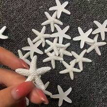 20 pièces de décorations en résine étoile de mer, 3 cm - parfaites pour les mariages, les fêtes et les artisanats maison, la décoration d'intérieur et les accessoires