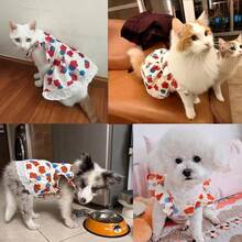 Local Delivery Hawaiian Dog Dress For Small Dog Girl Summer Dog Clothes Puppy Princess Dress Floral Pattern Tropical Pet Beach Outfit For Cat Dogs (Medium,Hawaii)… - 大的 - 查看 10