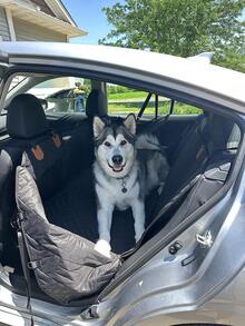 Car Rear Seat Pet Pad Converts Rear Seat To Dog Bed . Waterproof & Easy Clean . Non-Slip Sides Design . Thick Wear-Resistant Fabric . Easy Installation - Black - View 4