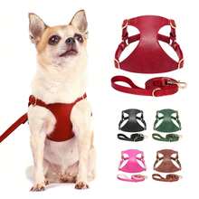 Pet Clothing Set