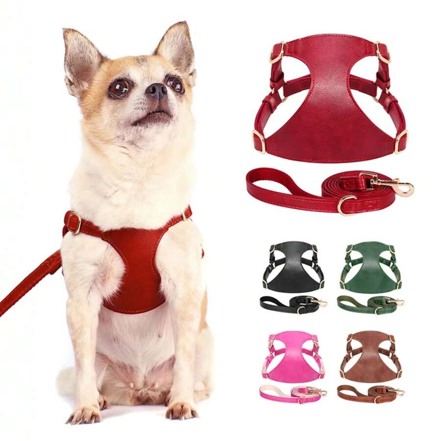 Pet Clothing Set