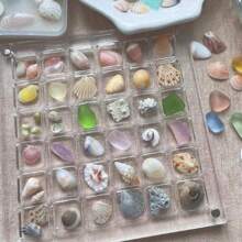 1pc 36/64/100 Grids Acrylic Shell Storage Box, Square Transparent Seaside Beach Stone Specimen Display Mini Shell Storage Frame, Desktop Organizer Jewelry Gift Box DIY Decor Box Holiday Gift For Women Storage Organizer Travel Essentials Back To School Dormitory Storage