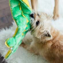 Outward Hound Squeaker Matz Plush Gator Dog Toy, XXL - Bé nhỏ - Xem 8