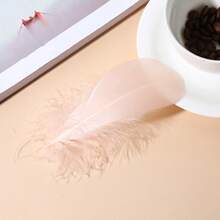 20-100 piezas Plumas decorativas hechas a mano DIY para atrapa sueños, cajas de regalo, decoración de manualidades y juguetes para gatos