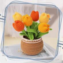 Conokata Crochet Kit For Beginners Adults And Kids Knitting Flower And Plant For Starter Lovers Learn How To With Step-By-Step Video Tutorial For DIY Kits