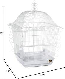 Prevue Pet Products Jumbo Scrollwork Bird Cage 220W White, 18-Inch By 18-Inch By 25-Inch - Blue and White - View 2
