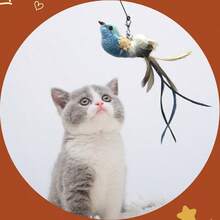 Jucării pentru pisici Colibri, Jucărie pentru pisici cu undiță, Jucării pentru pisici de interior, Jucării pentru pisoi, Jucărie cu baghetă pentru pisici, Jucărie telescopică cu trei secțiuni, maxim 180 cm / 70,8 inci, Jucării pentru pisici pentru pisici adulte plictisite de interior, Jucărie cu undiță pentru pisici, Jucărie cu pene artificiale pentru pisici, Jucărie interactivă pentru pisici, Articole pentru pisici - Multicolor - Vizualizare 10