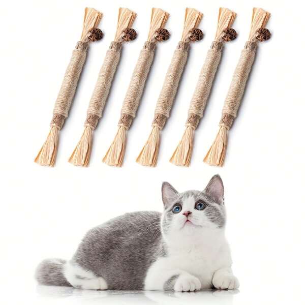 4 stuks/set kattenkruid kauwstokjes, Matatabi kauwstokjes voor katten, speelgoed voor binnen, helpt tandsteen te verwijderen en de spijsvertering te verbeteren