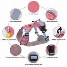 Reinforced Harness With Leash For Small, Medium, And Large Dogs - Coral Pink - View 5