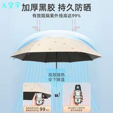 Umbrellas And Rain Hat Umbrellas - Navy/Ginkgo-uV Protection UPF50+ - View 5