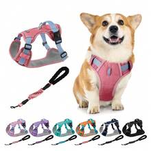 Reinforced Harness With Leash For Small, Medium, And Large Dogs - Coral Pink - View 3