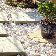 1000g/500g White Pebbles For Indoor Plants, 1-2 Inch Natural River Stones For Aquarium, High Polished Decorative Stones For Vase Filler, Fish Tank, Gardening, Landscaping, Valentine's Day Party Decor (Stones In Asymmetrical Shapes) - White - View 7