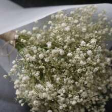 1 Blumenstrauß mit gemischten Blumen wie Schleierkraut, Eukalyptus, Lavendel usw. Natürlicher Pflanzenblumenstrauß, Schleierkraut Blumenstrauß für Braut, Brautjungfer, Blumenmädchen, Hochzeit, Boho-Naturstyling Schleierkraut, für Vase auf dem Tisch, Hochzeit, Brautstrauß, Heim-/Bürodekoration, Partys