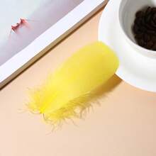 20-100 piezas Plumas decorativas hechas a mano DIY para atrapa sueños, cajas de regalo, decoración de manualidades y juguetes para gatos