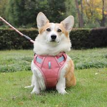 Reinforced Harness With Leash For Small, Medium, And Large Dogs - Coral Pink - View 11