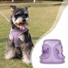 Comfortable Breathable Harness Chest With Leash For Dog Cat - 淡紫色 - 查看 7