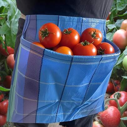 1 Piece Of Durable PE Gardening Apron With Large Pockets - Fruit And Vegetable Harvesting (Tomato, Apple, Eggplant) Random Color Selection, Lightweight And Sturdy Design, Suitable For Gardeners, Gardening Apron, Fruit Picking Accessories, Reinforced Polyethylene Material, Reinforced Pocket Seams
