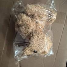 Realistic Robot Puppy – Electronic Interactive Pet Dog, Cute Gift - A - View 6